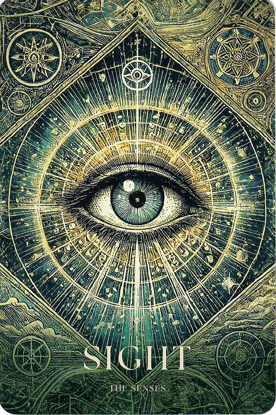 Sight